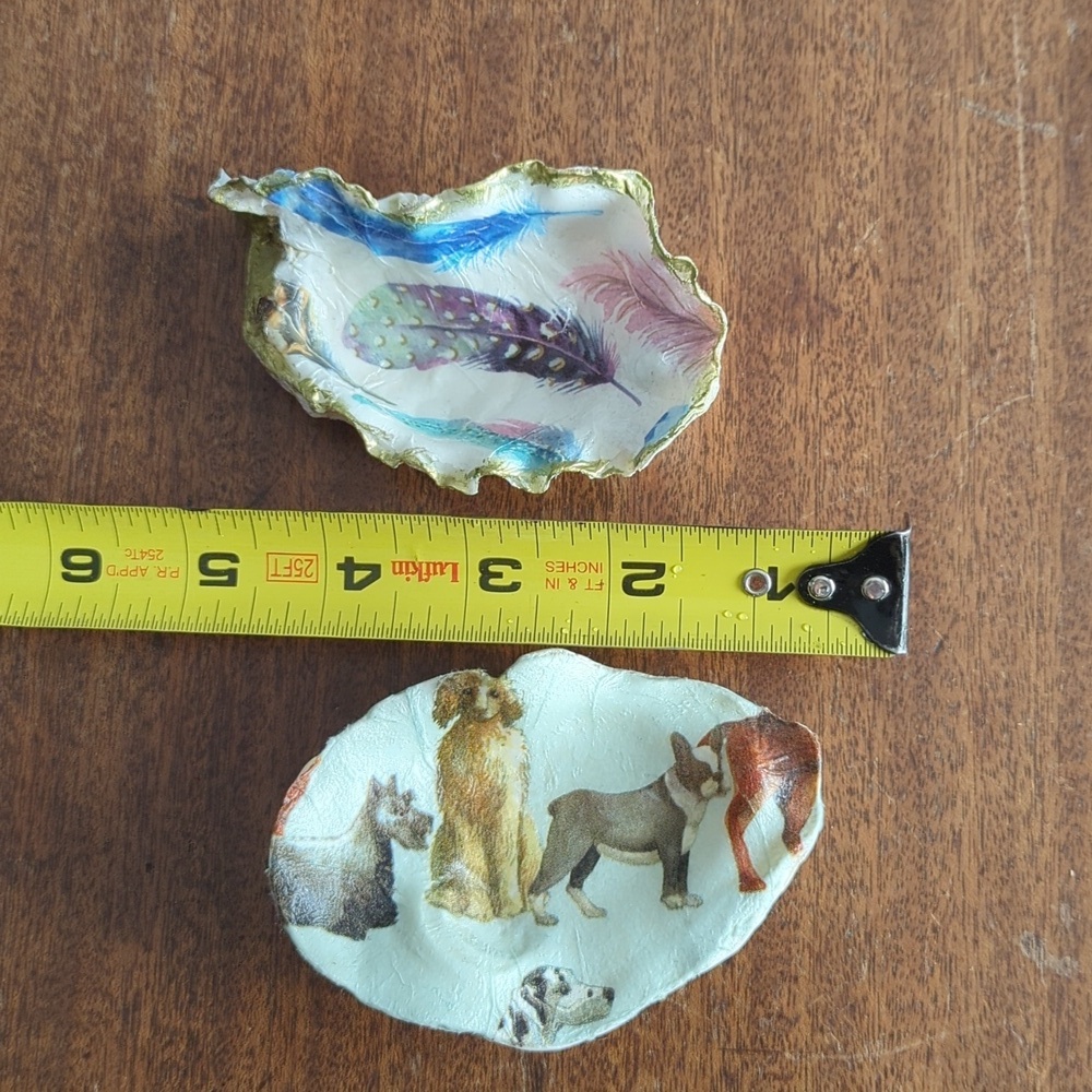 Decorative Shells - Picture 9 of 9